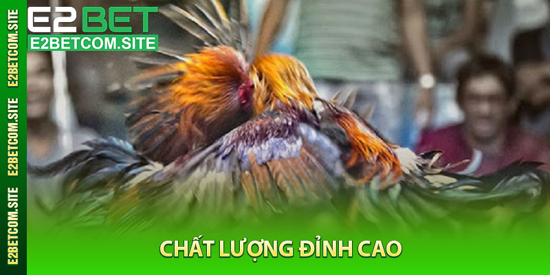 Chất Lượng Đỉnh Cao