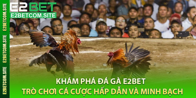Khám Phá Đá Gà e2bet – Trò Chơi Cá Cược Hấp Dẫn Và Minh Bạch